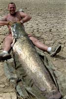Huge Catfish
