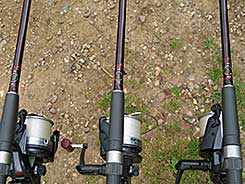 Three Carp rods