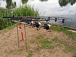 Three Carp rods