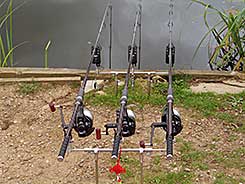 Three Carp rods