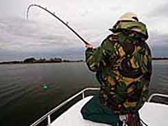 Playing a large Catfish